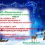 В дни новогодних каникул
