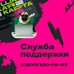 Вопросы по работе Пушкинской карты?