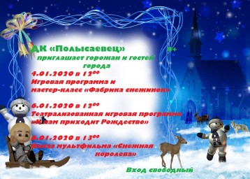 В дни новогодних каникул