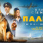 Пальма